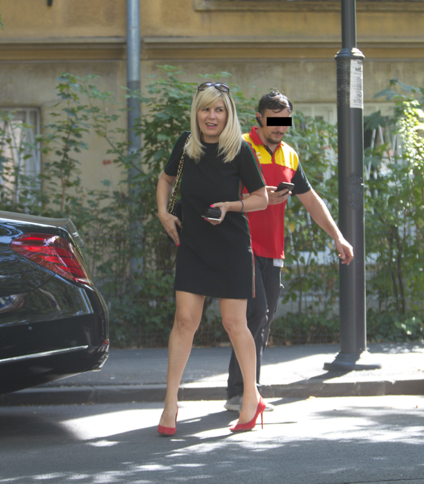Elena Udrea, apariție năucitoare 
după ce a revenit din Costa Rica