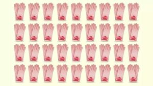 Test IQ | Numai cei cu ochi de vultur văd perechea diferită de mănuși, în doar 5 secunde!