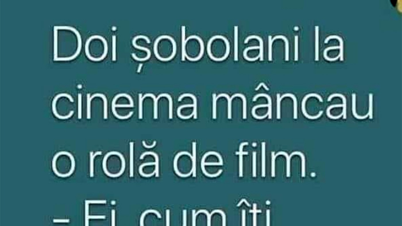 BANCUL ZILEI | Doi șobolani, la cinema