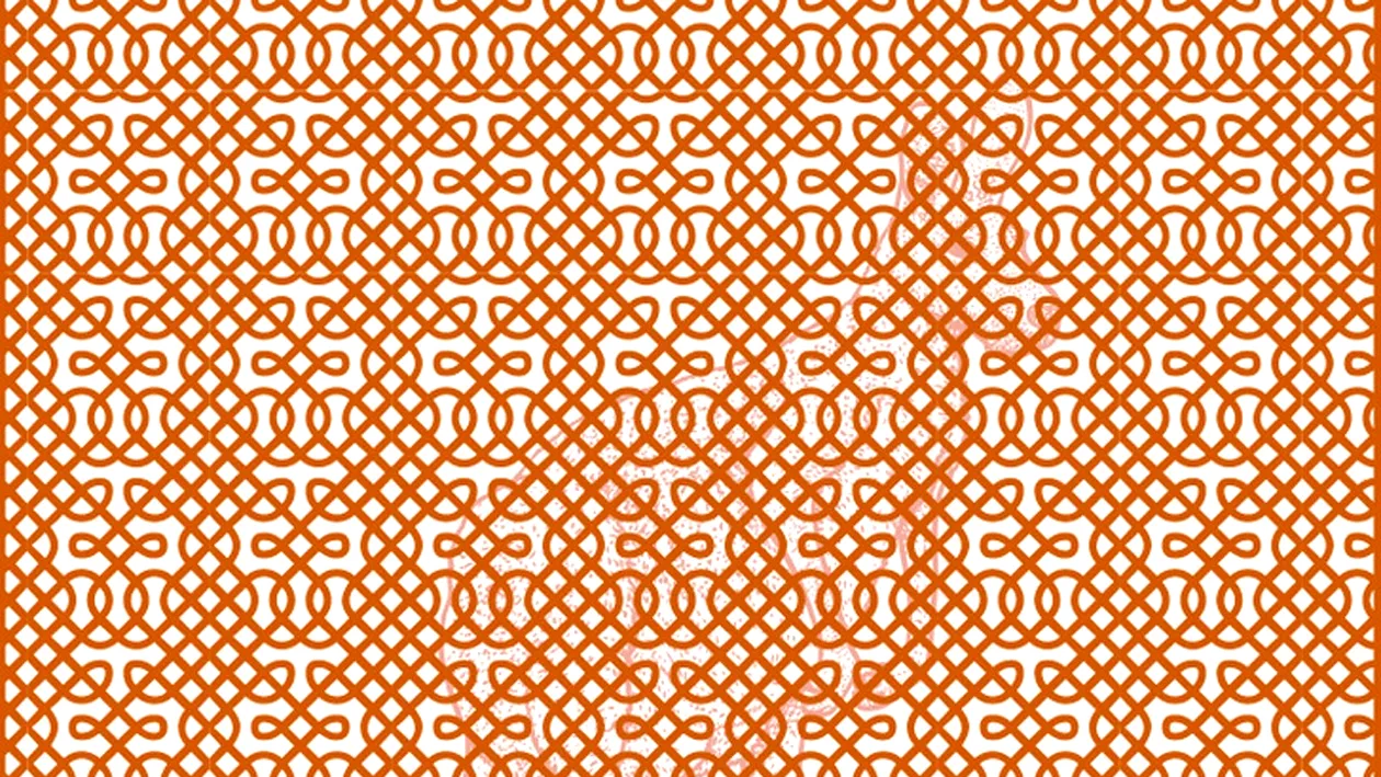 TEST IQ | Ce animal se ascunde în această iluzie optică virală? Geniile răspund corect în cel mult 10 secunde!