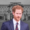 Prințul Harry, UMILIT după ce a întins mâna împăcării! Ce spun apropiații familiei regale despre gestul său