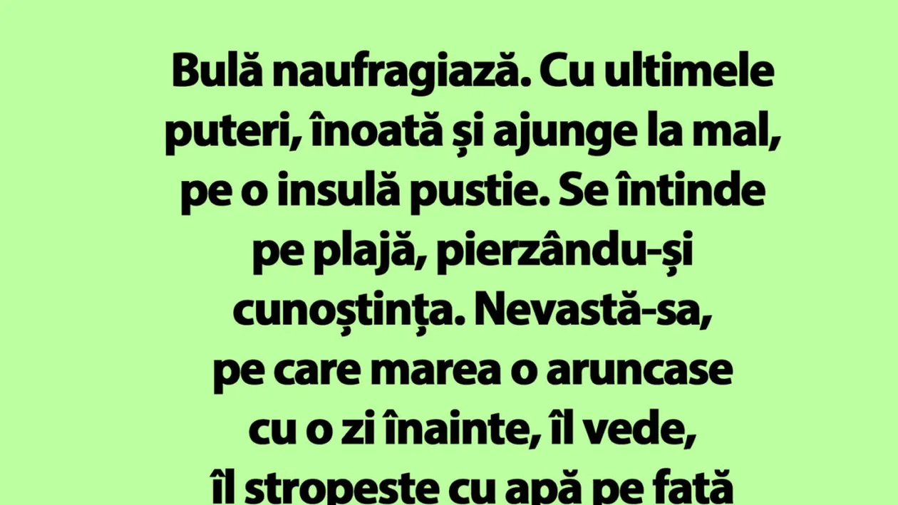 BANC | Bulă naufragiază pe o insulă pustie