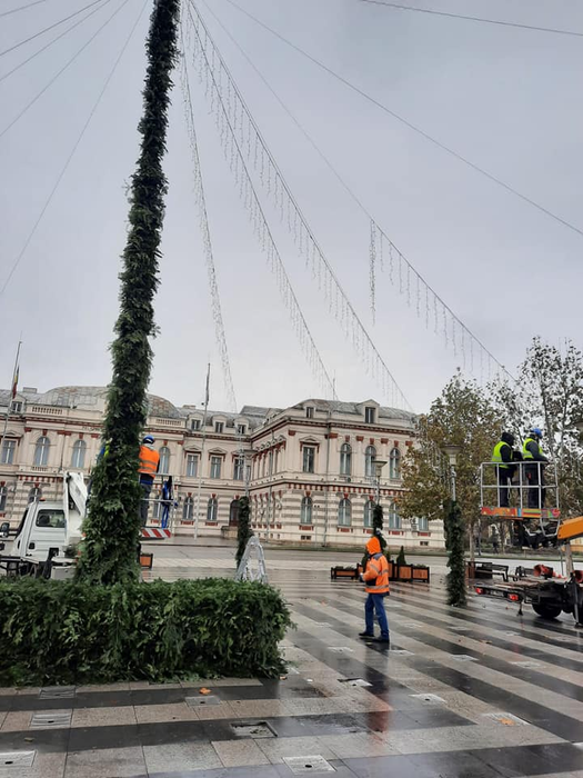 Coloana pe post de brad i-a nemulțumit pe unii dintre băcăuani