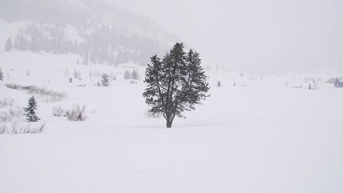 Prognoza meteo 27 februarie: Iarna a paralizat țara! Ce spun meteorologii