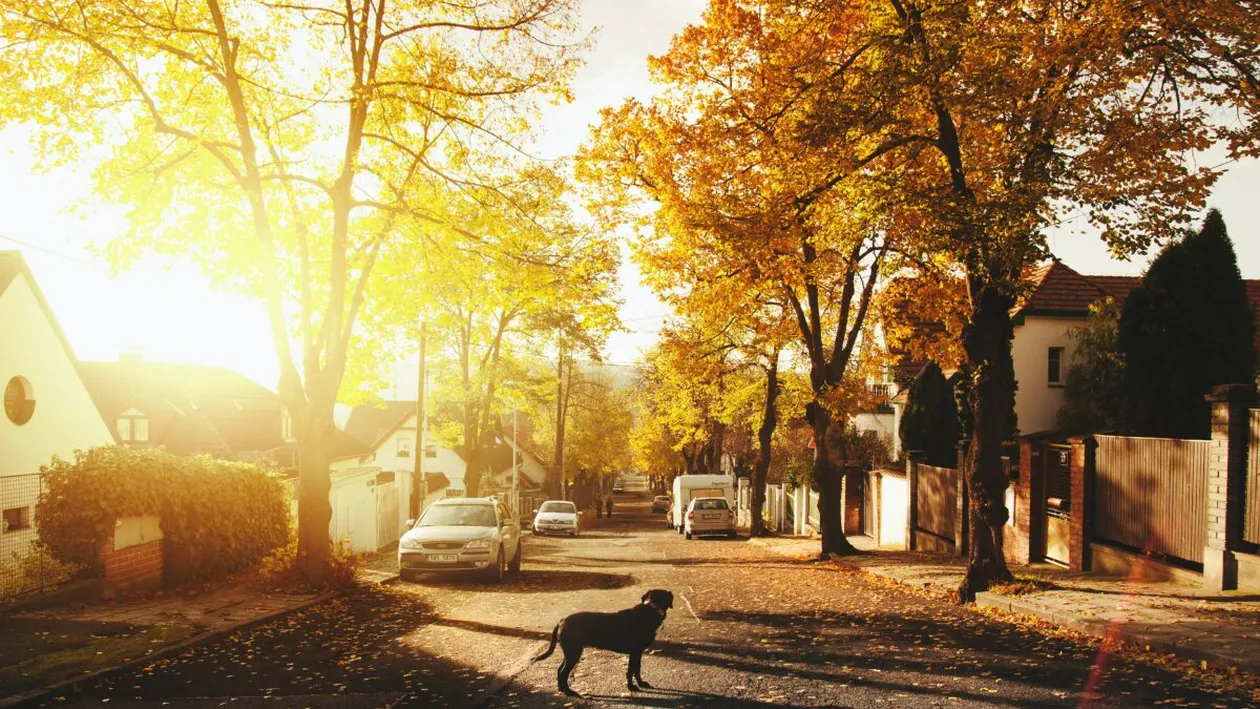 Satul în care toți cei 6.000 de locuitori stau pe aceeași stradă. Imaginea a devenit virală în întreaga lume