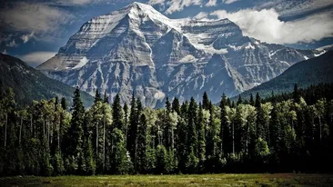 Un alpinist român a murit în Belgia! Bărbatul a căzut de la peste 200 de metri