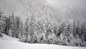 Informația care dă peste cap ancheta în cazul lui George, tânărul dispărut în Munții Bucegi. Salvamontiștii din Brașov au făcut totul public!