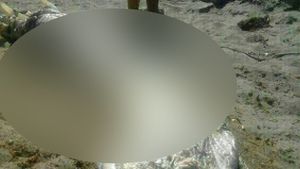 Creatura monstruoasa gasita pe o plaja din Spania. Barbatul a inlemnit cand a descoperit-o. "Parca e de pe alta lume"