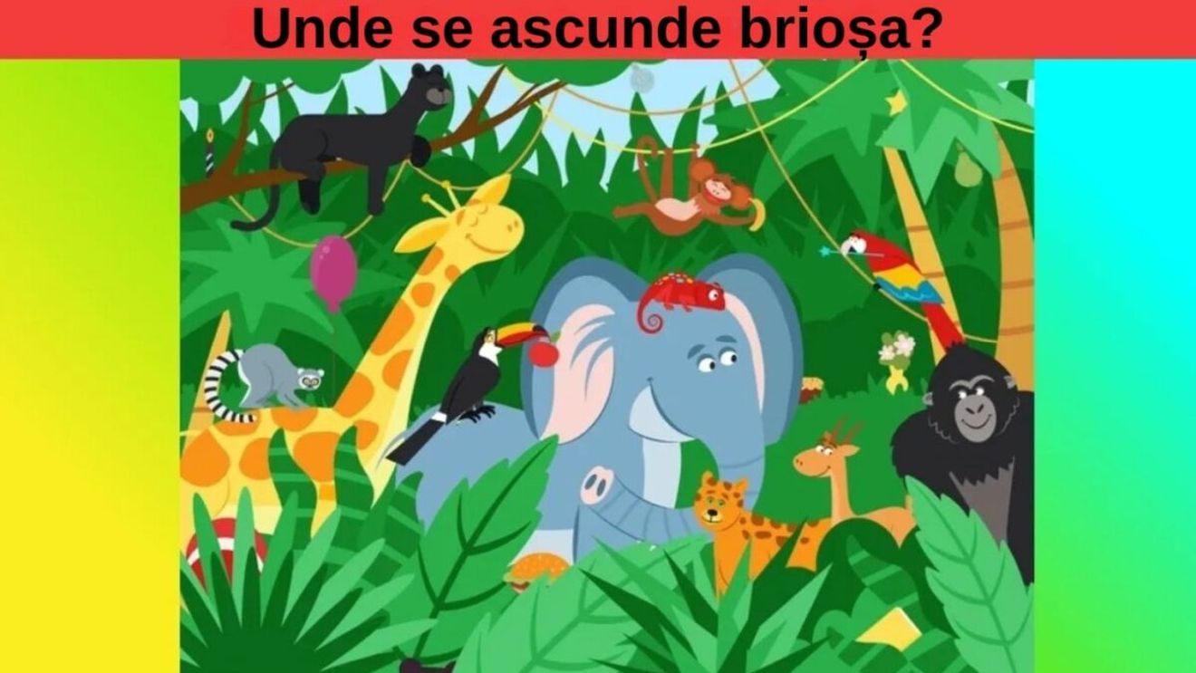 Test IQ | Numai geniile adevărate reușesc să vadă unde se ascunde brioșa, în doar 15 secunde!