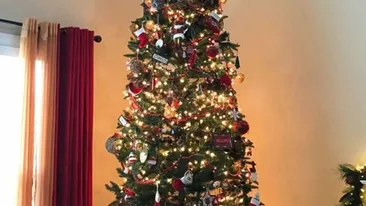 Iluzie optică de Ajun | Găsiți pisica ascunsă în bradul de Crăciun din imagine