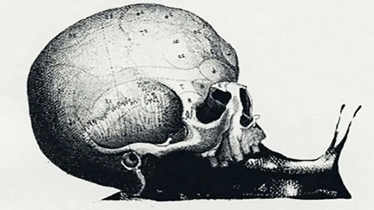 Test de personalitate | Primul lucru pe care-l vezi în poza asta îți spune care e job-ul tău ideal