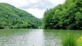 Acesta este cel mai vechi lac artificial din România. Se află într-un loc legendar unde a fost colonizat cerbul carpatin