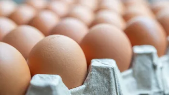 Țara europeană care a rămas fără ouă din cauza bolilor aviare. Criza vine chiar înainte de Paște