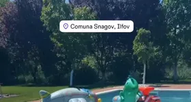 Galerie foto - poza 4