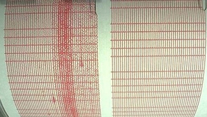 Sapte morti si sute de raniti, in urma unui cutremur produs in sud-estul Iranului