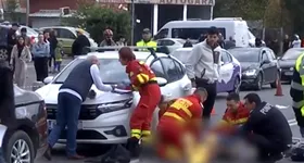 Galerie foto - poza 2