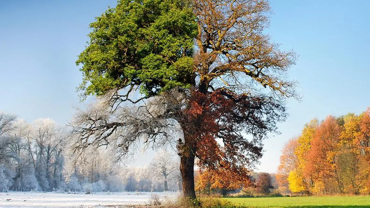 Cald, dar şi ninsori! Vezi cum e posibil şi cum va fi vremea în următoarele trei zilei