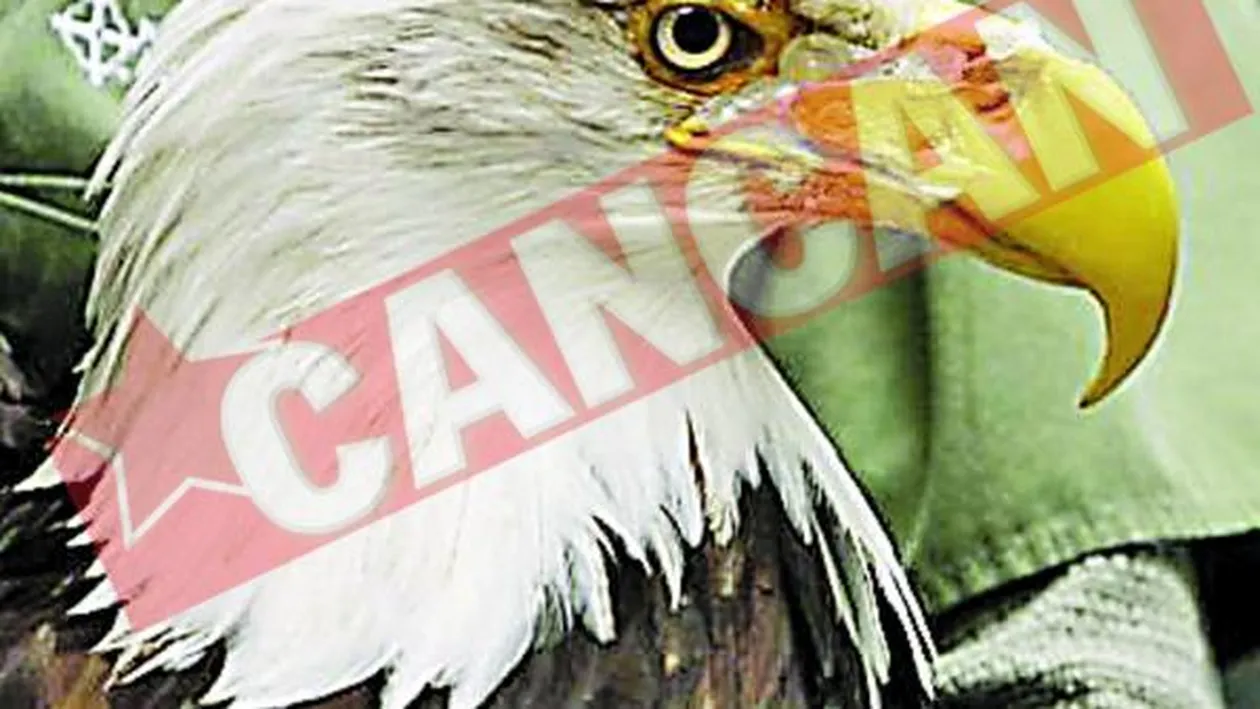 Vulturul cu cioc bionic