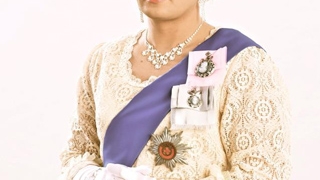 Par blond, tiara pe cap si manusi albe, elegante, ca ale Reginei Marii Britanii - Recunoasteti vedeta din imagine?