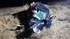 Dublă tragedie în Teleorman. Doi adolescenți au murit într-un teribil accident rutier