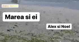 Galerie foto - poza 2