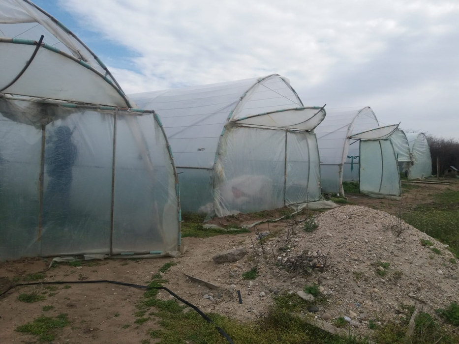 Solariile au fost încălzite pe timpul iernii