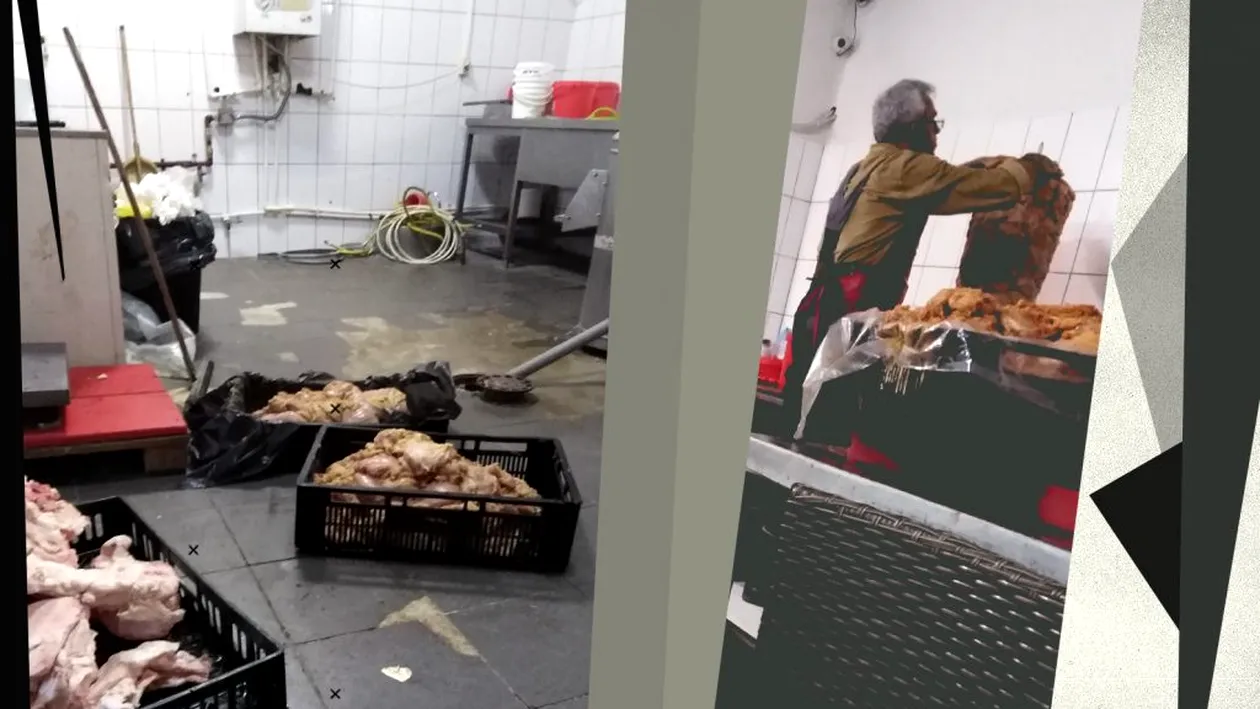 Atenție, imagini șocante din bucătăria unui fast-food din București!