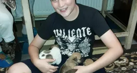 Galerie foto - poza 3