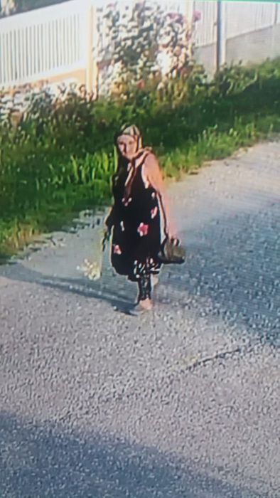 Femeia a plecat după ciuperci și nu s-a mai întors