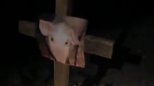 Gestul care ar putea declansa JIHADUL! Ce au putut sa ingroape doi rusi in fundatia unei moschei: "Este satanic si profan"