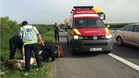 Accident grav pe A1. Sunt 11 victime. Patru ambulanţe SMURD, la faţa locului