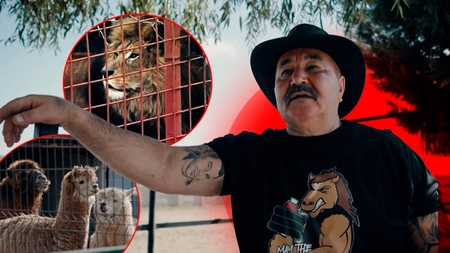 Nuțu Cămătaru, detalii despre animalele exotice din grădina zoo. De unde a cumpărat primii lei