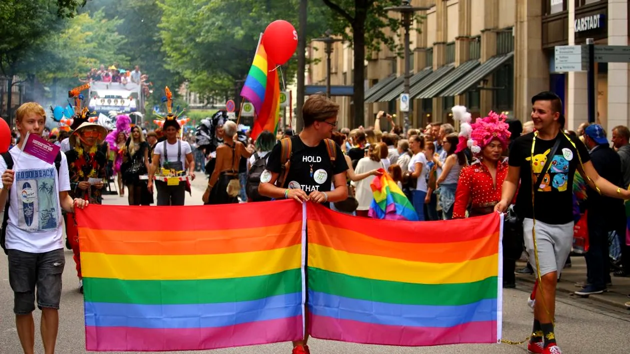Curtea Constituțională ar putea decide astăzi recunoaşterea căsătoriilor gay