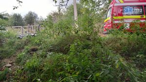 Imagini macabre! Trupul neînsuflețit al unui bărbat a fost găsit pe marginea drumului, lângă o bicicletă