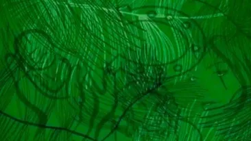 Test de personalitate | Ce vezi în această imagine spune ce îţi lipseşte pentru a fi fericit