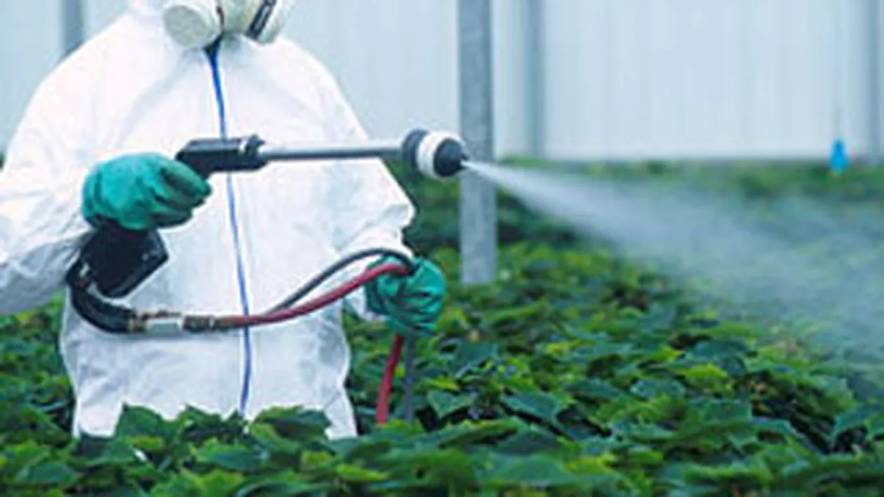 Atentie la ce legume cumperi! In Romania pesticidele se vand pe post de biocide