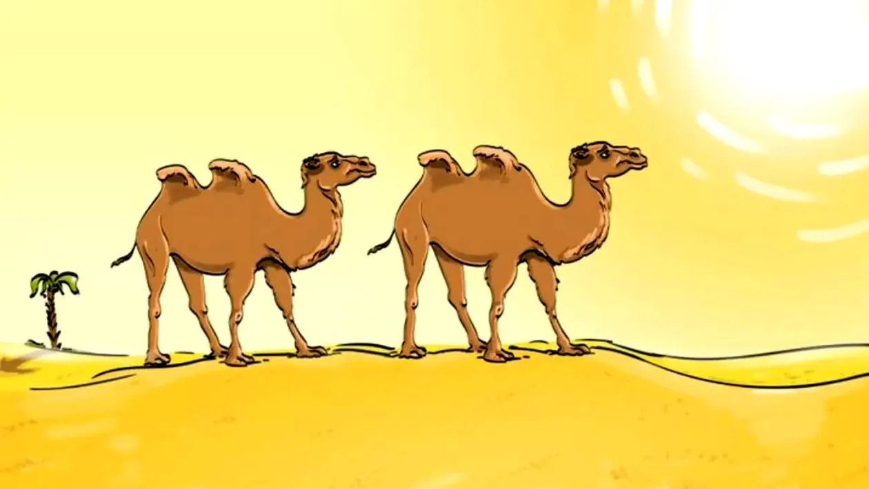 TEST IQ | În această poză sunt exact 2 greșeli. Geniile le văd în doar 3 secunde!