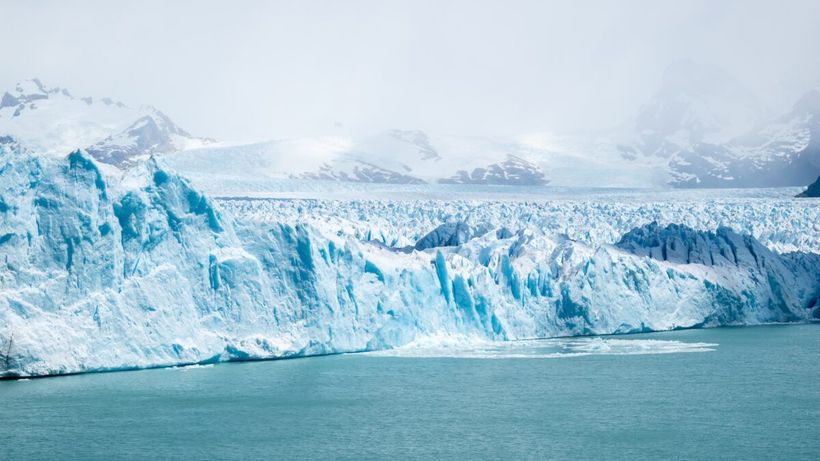 Creaturile care trăiesc și 11.000 de ani. Sunt foarte bizare și locuiesc în Antarctica