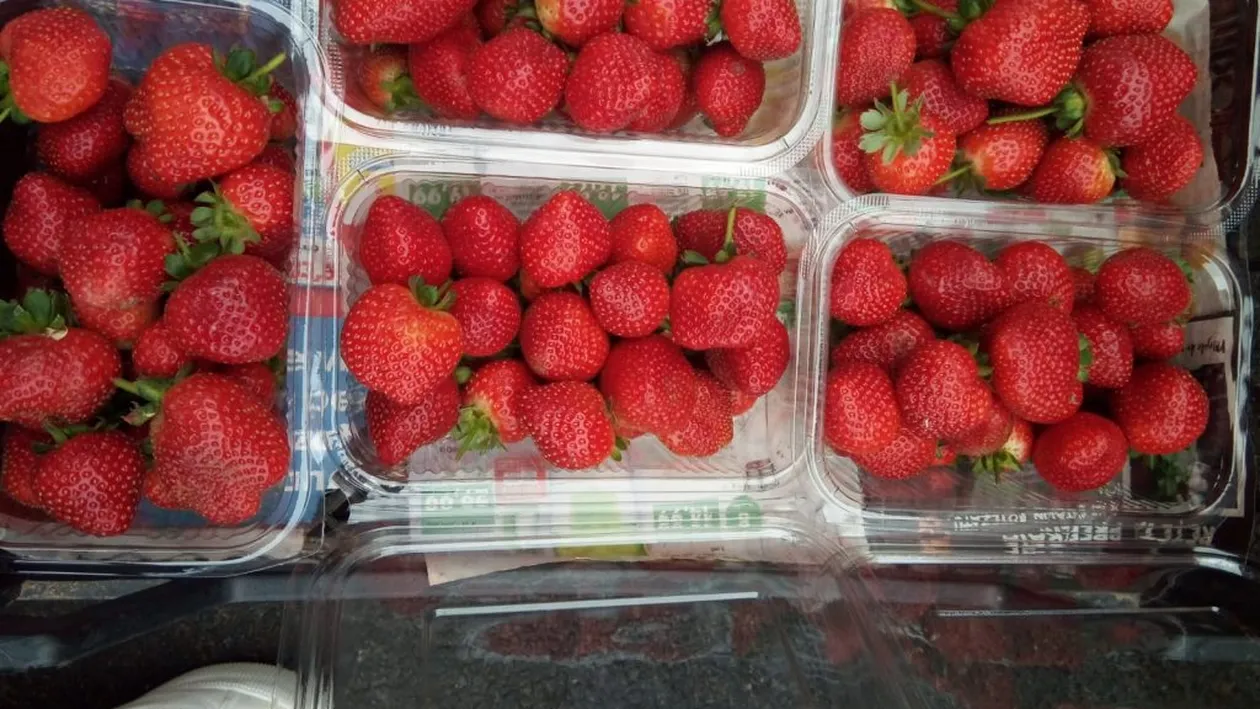 Locul care le oferă șansa oamenilor să își culeagă singuri căpșunile