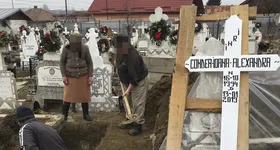 Galerie foto - poza 2