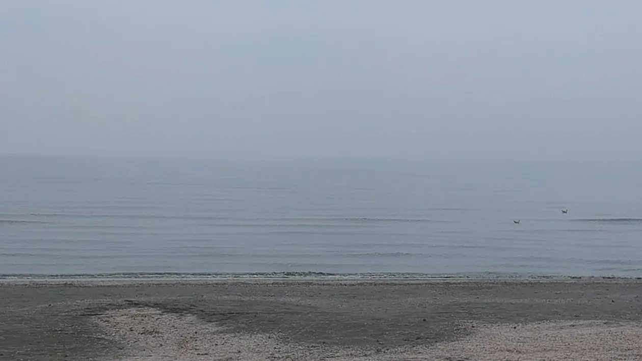 Interzis la plajă, pe malul Mării Negre, după apariţia riscului de holeră! Avertisment de ULTIMA ORĂ