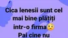 BANC | De ce sunt leneșii cel mai bine plătiți într-o firmă
