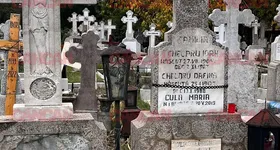 Galerie foto - poza 2