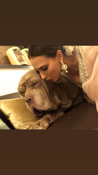 Familia lui Salman Khan e în doliu. Actorul și Iulia Vântur sunt îngenuncheați de durere. “Ne-ai învățat ce este dragostea, iubirea mea”