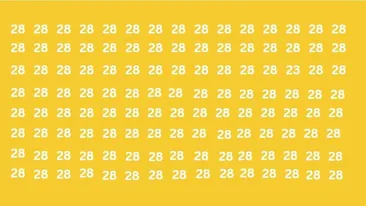 Test de logică | Găsiți numărul 23 camuflat în această imagine!