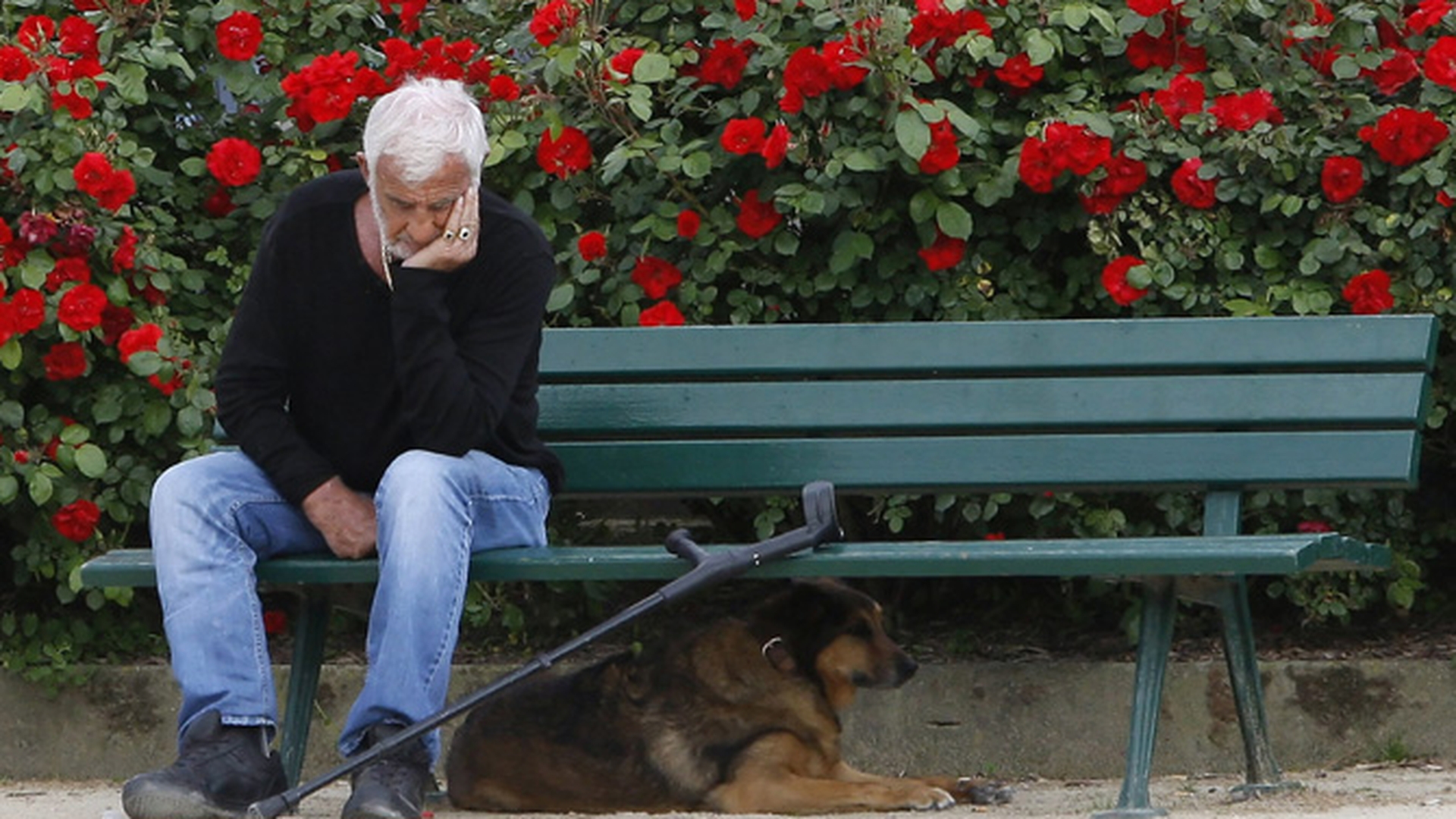 Jean-Paul Belmondo, trist pe banca, la Paris