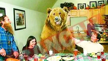 Ursul, cavaler de onoare la nunta