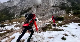 Galerie foto - poza 2