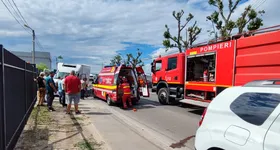 Galerie foto - poza 3