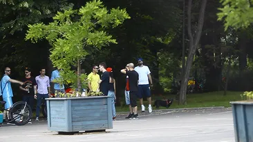 Pregatesc iar ceva “turbofin” sau doar se distreaza putin? Ce fac Grasu XXL, Guess Who si Maximilian, ziua in amiaza mare, in parc